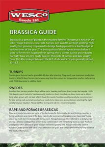 Brassicas_Brochure-1