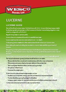 lucerne-guide
