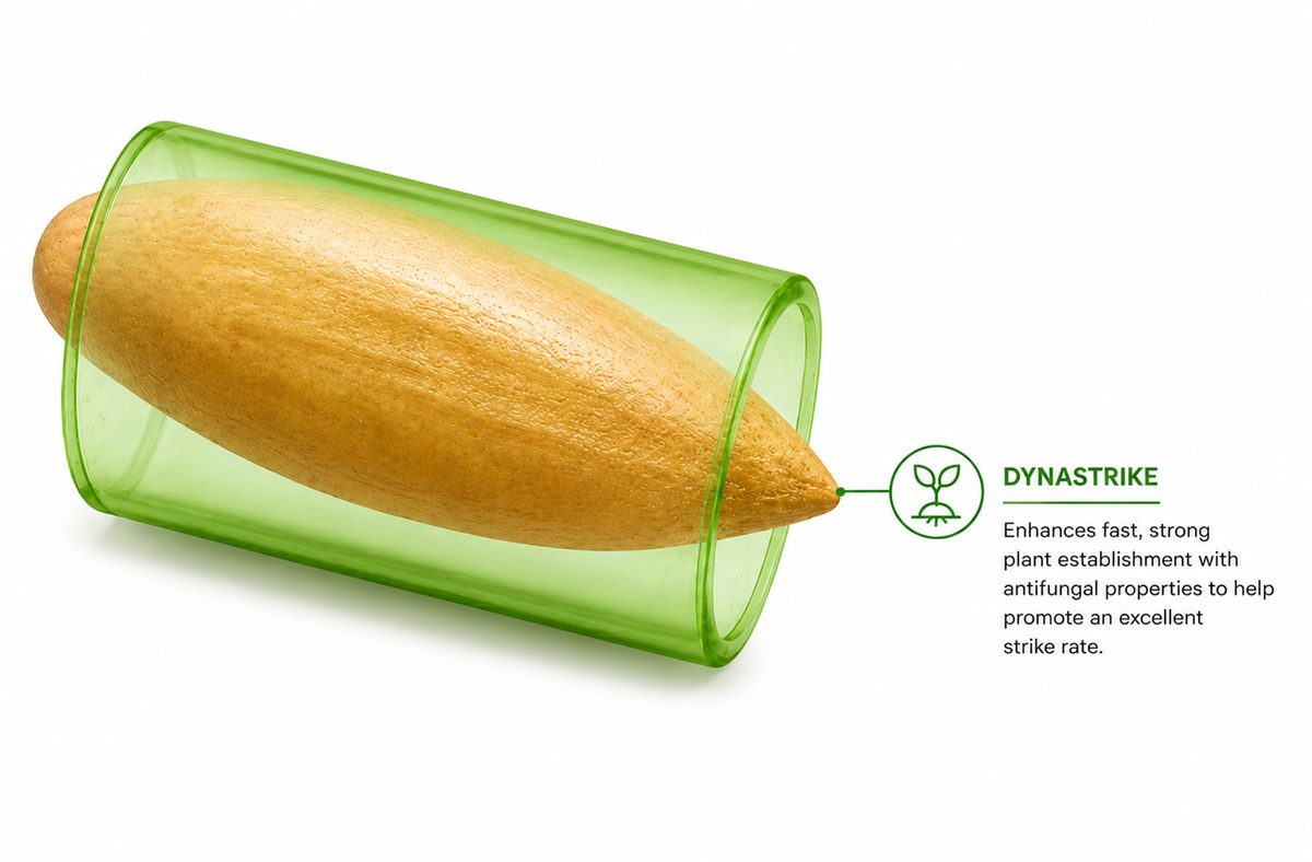 Dynastrike Seed Treatment