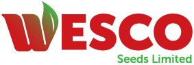 Wesco Seeds