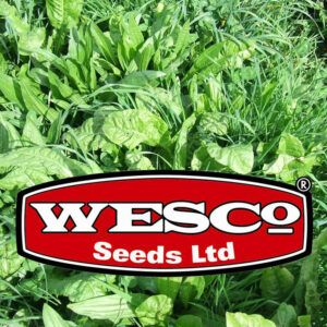 Classic Wesco Seed Mixes