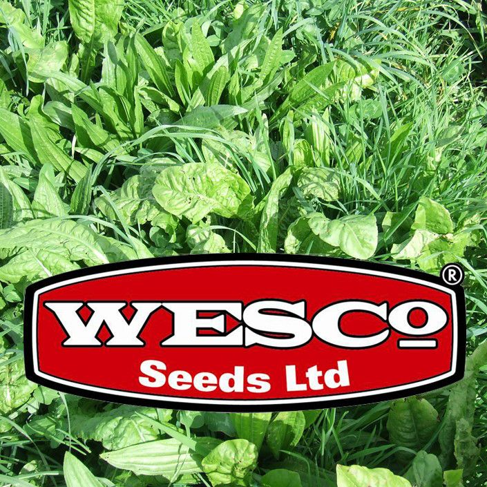Wesco Products