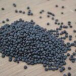 Wesco Seeds sell grass seed pasture seed clover seed and lawn seed bulk online