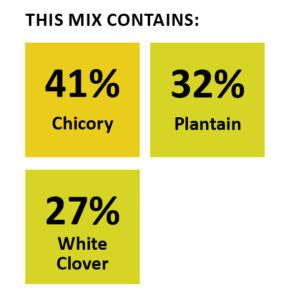 Wesco Seeds sell grass seed mixtures online this grass seed mixture contains clover seed