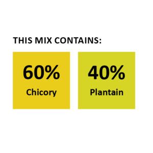 Wesco Seeds Sell grass seed mixtures online